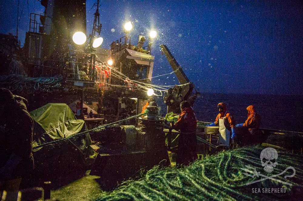 O Trabalho não parou durante a noite. Foto: Jeff Wirth