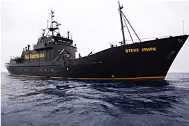 steve irwin (2)