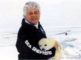 Capitão Paul Watson protege um filhote de foca