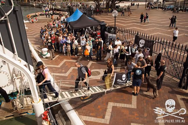 Multidão para realizar os passeios públicos gratuitos no Circular Quay. Foto: Sea Shepherd Austrália / Tim Watters