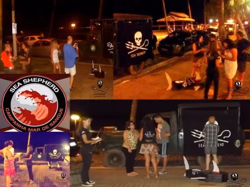 Mosaico de fotos. Voluntários em atividade em Ilhabela/SP na Campanha Mar de Sangue em defesa dos tubarões