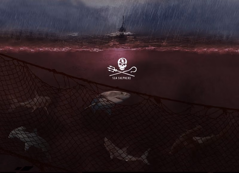 Campanha Mar de Sangue – em defesa dos tubarões – Núcleo SP