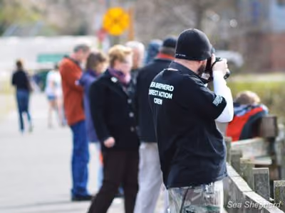 Voluntários da Sea Shepherd e turistas assistem como os funcionários do Departamento de Pesca e Vida Selvagem de Oregon marcam os leões-marinhos no porto de Astoria. Foto: Aaron Hall / Sea Shepherd