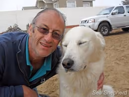 Um cão amigável faz uma visita à Sea Shepherd na Namíbia. Foto: Sea Shepherd