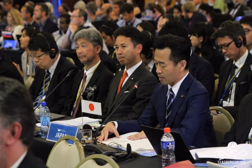 FLORIANOPOLIS, SC, 10.09.2018 – EVENTO – Vice-Minister for Foreign Affairs Mitsunari OKAMOTO and taniai masaaki membro do parlamento japones falao na 67ª reunião anual de Membros da IWC (International Whaling Commission) em florianopolis brasil na tarde desta segunda-feira 10. (Foto: Naian Meneghetti/Brazil Photo Press/Folhapress)