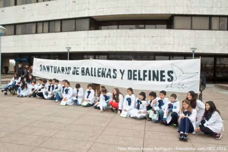 Foto cedida por Martin Acosta Rodriguez