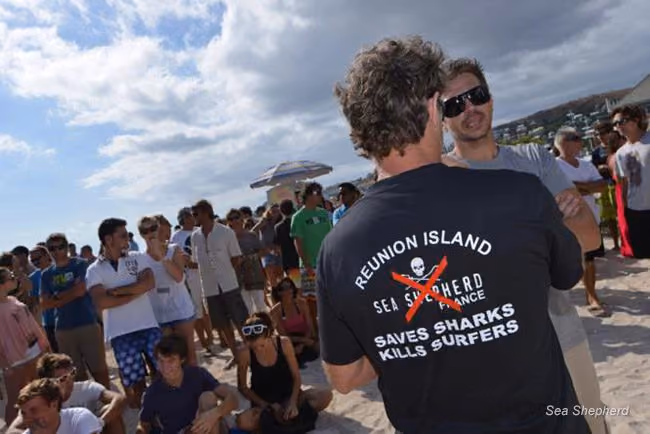 Camiseta anti Sea Shepherd