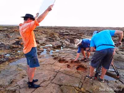 Catalyst Productions filma a pegada de Stegosaur encontrada em James Price Point. Foto: Adam Toole