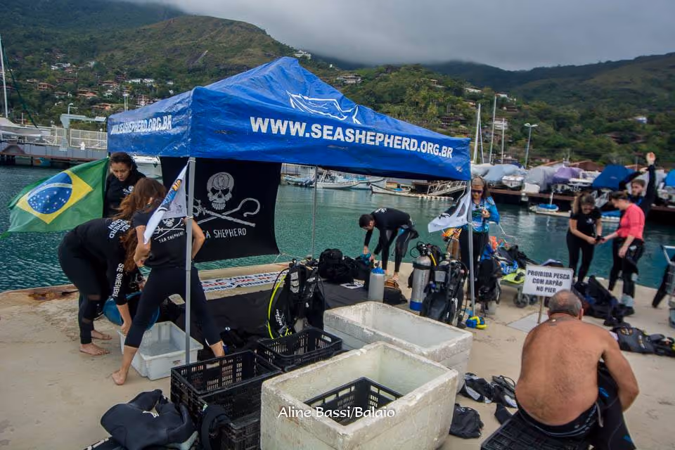 Atitude e Ação - Equipe de mergulhadores Sea Shepherd Brasil SP na montagem dos equipamentos antes do mergulho.