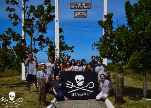 Os voluntários reuniram-se na Praia de Guarapari em Pontal do Paraná