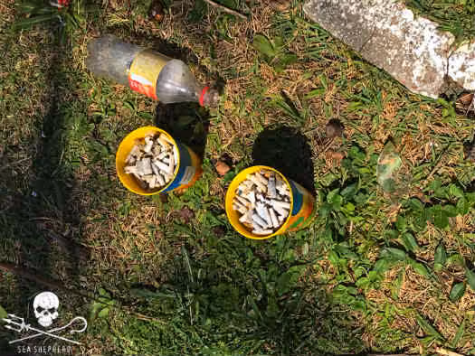 O campeão do micro lixo foi o filtro de cigarro - 649 unidades.