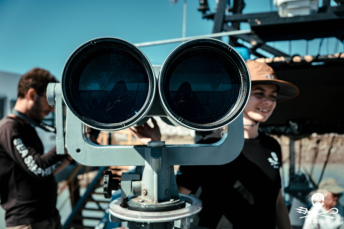 190818_©_Sea Shepherd_Melissa_Romao_FUJI4303