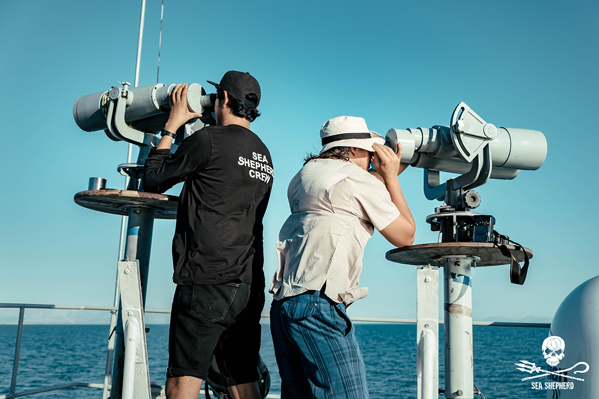 190820_©_Sea Shepherd_Melissa_Romao_FUJI4510