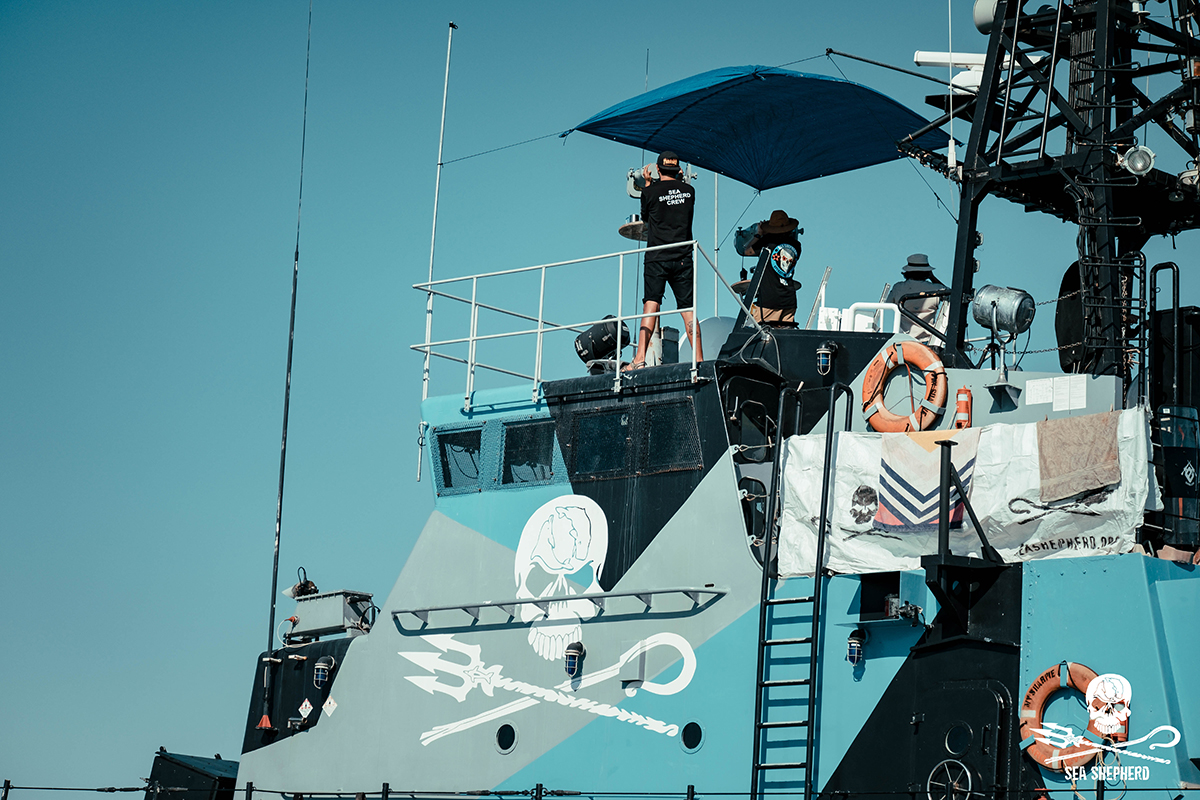 190820_©_Sea Shepherd_Melissa_Romao_FUJI4570
