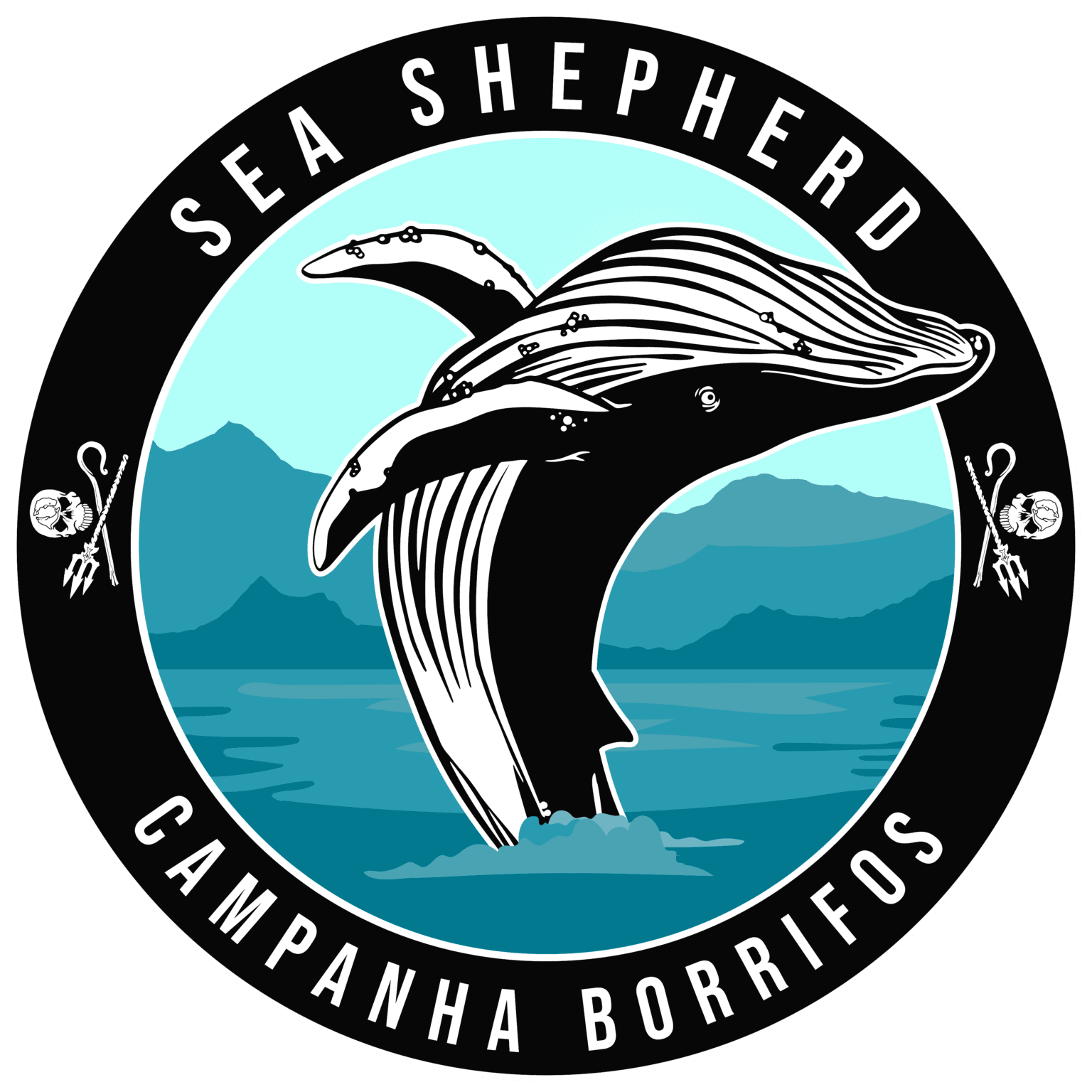 Junte Se A Nós Na Luta Pela Preservação Do Oceano Sea Shepherd Brasil