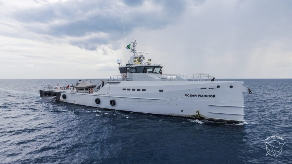 Sea Shepherd Assina Acordo Com Governo Do Peru Para Preservação De