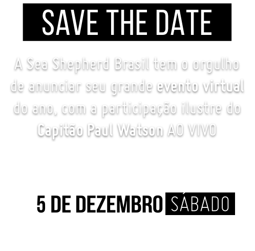 Save the date: A Sea Shepherd Brasil tem o orgulho de anunciar seu grande evento virtual do ano, com a participação ilustre do Capitão Paul Watson ao vivo. 4 de Dezembro, sexta-feira, à partir das 14h.