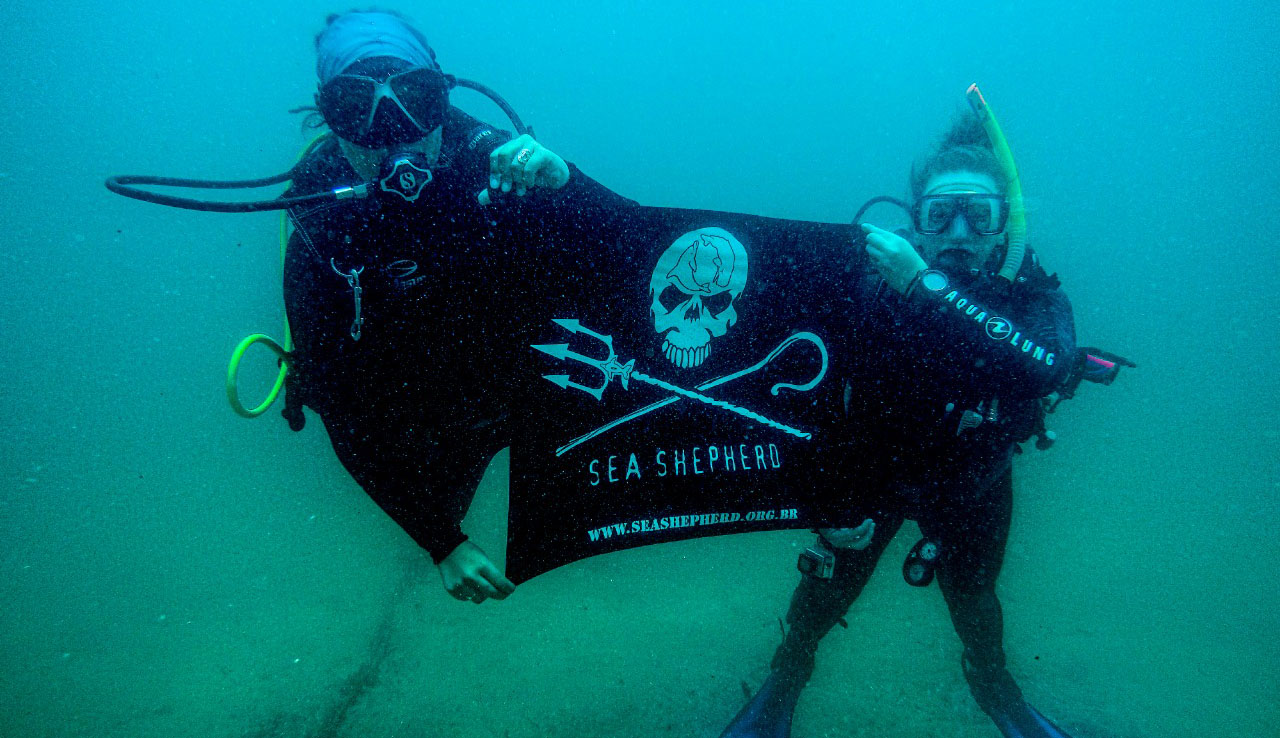 Mergulhadores segurando bandeira da Sea Shepherd