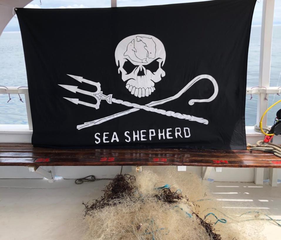 Sea Shepherd retira rede de pesca fantasma do fundo do mar em Búzios