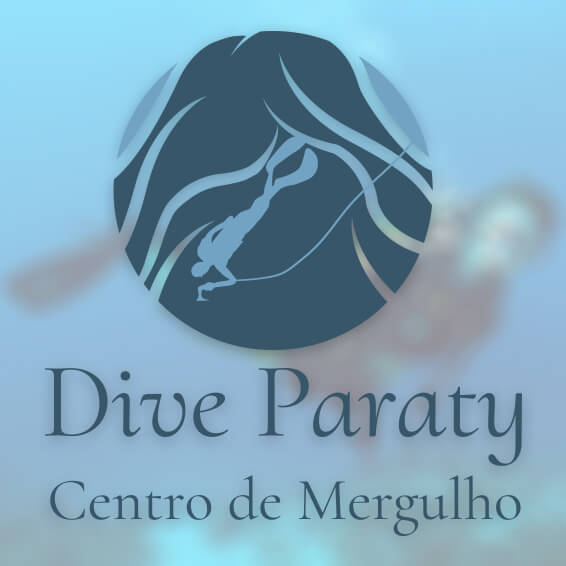 A Dive Paraty é uma empresa de mergulho consolidada em Paraty.  A Dive Paraty é o único Centro de Mergulho em Paraty com selo de elite da PADI, a maior certificadora o mundo