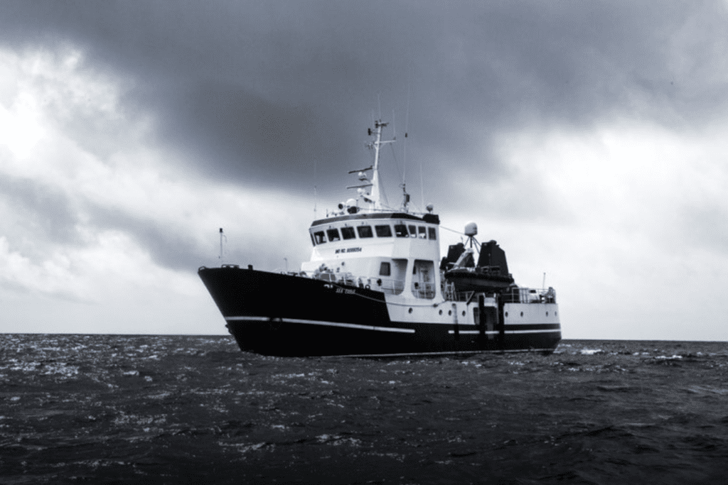 Sea Shepherd Da Boas Vindas Ao Lendario Mergulhador Para Nosso Conselho De Administracao Sea Shepherd