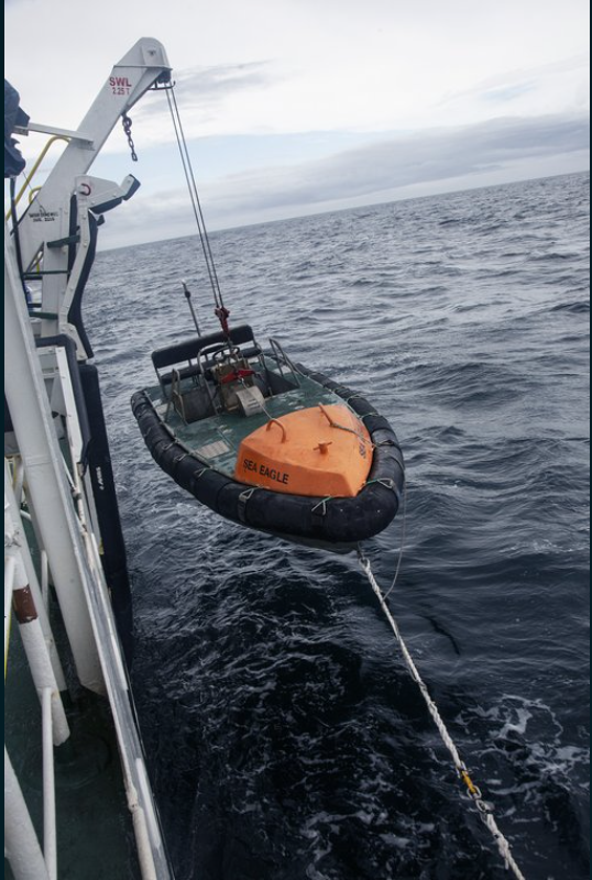 Sea Shepherd Da Boas Vindas Ao Lendario Mergulhador Para Nosso Conselho De Administracao Sea Shepherd