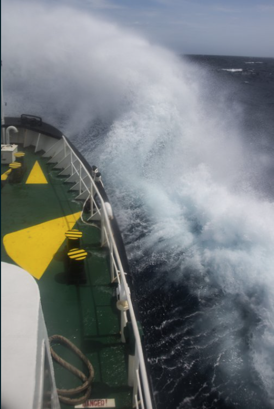 Sea Shepherd Da Boas Vindas Ao Lendario Mergulhador Para Nosso Conselho De Administracao Sea Shepherd