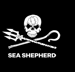 Sea Shepherd Brasil