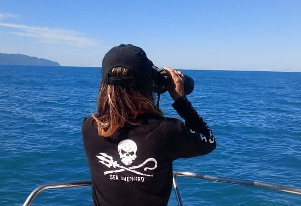 Voluntária observa movimentação de baleias em saída da Campanha Borrifos