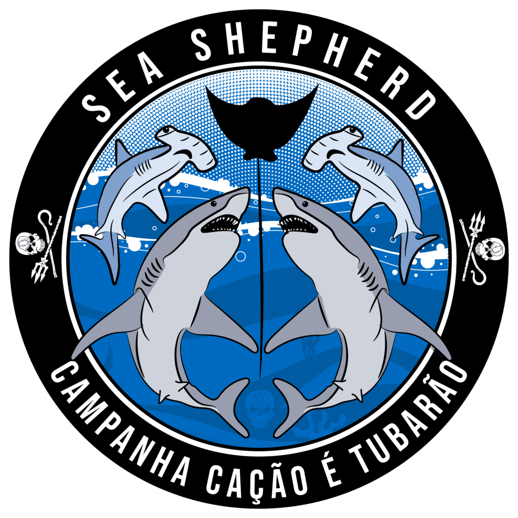 Junte Se A Nós Na Luta Pela Preservação Do Oceano Sea Shepherd Brasil