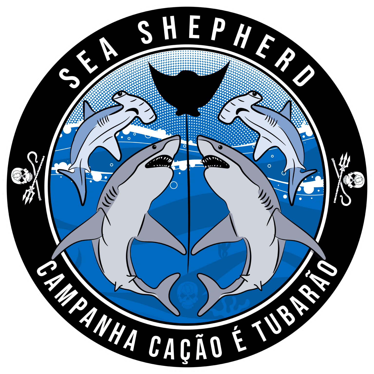 Junte Se A Nós Na Luta Pela Preservação Do Oceano Sea Shepherd Brasil