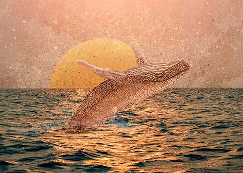 Quadro Fenz de baleia pulando sobre o por do sol