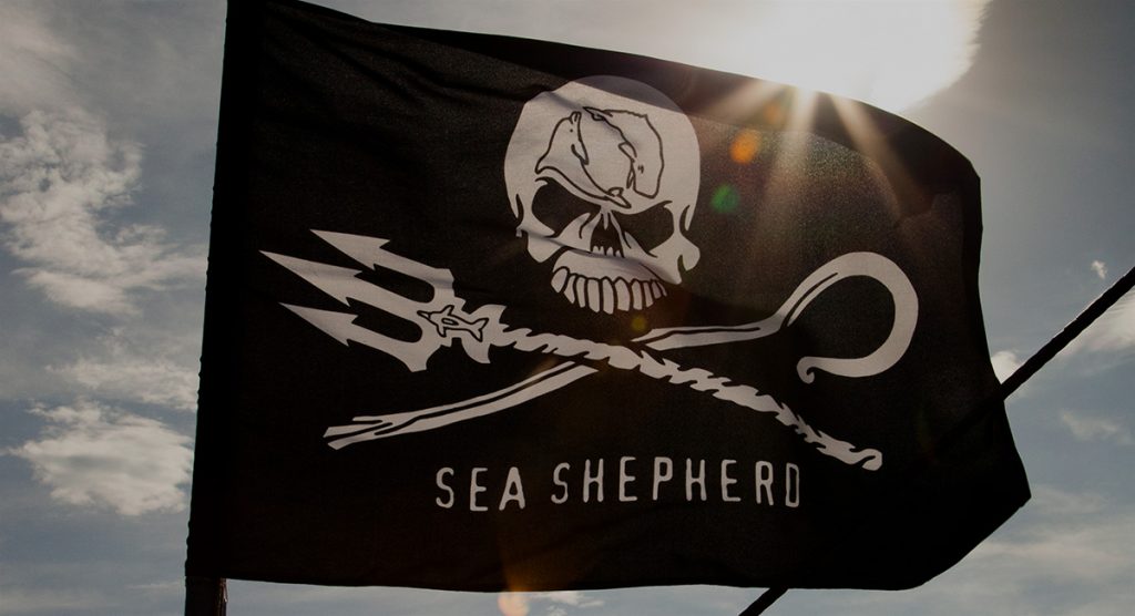 Bandeira da Sea Shepherd na frente do sol