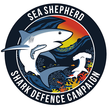 Shark Campaign Logo - Australia 20062022