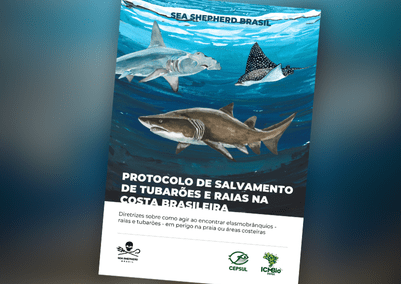 thumbs site download materiais educativos