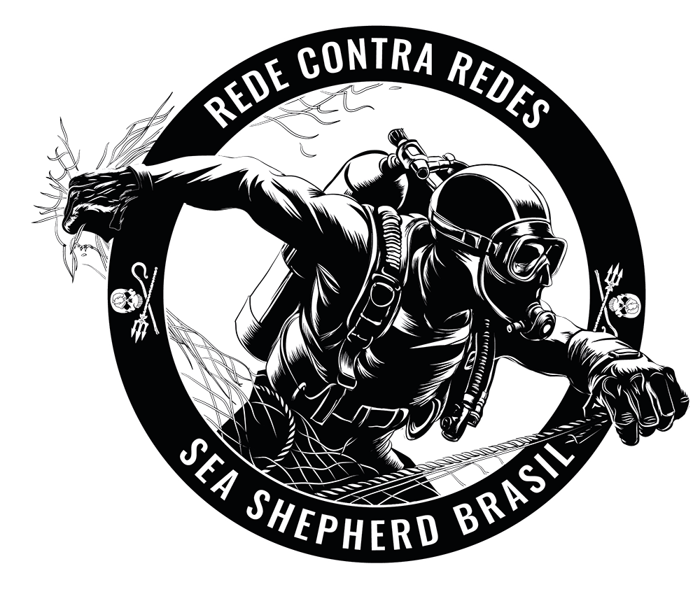 RCR NOVO LOGO_md